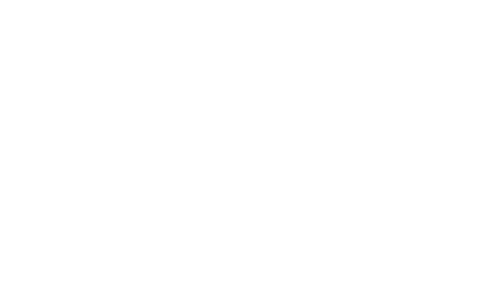 Shop Icons