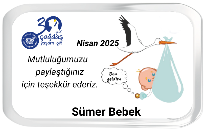 Magnet Leylekli Bohça Plexi Çerçeve Erkek Çocuk